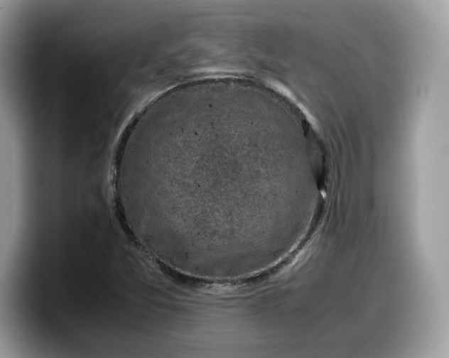 X0000099571357200805301532