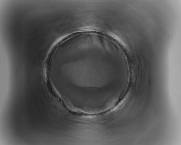 X0000099571358200805301532
