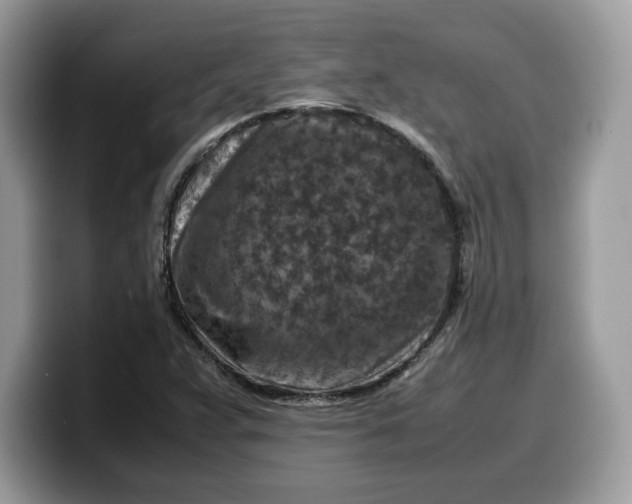 X0000099571359200805301532