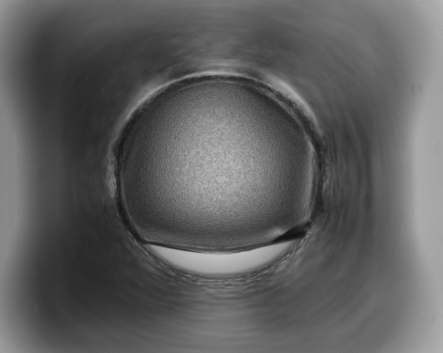 X0000099571360200805301532