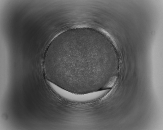 X0000099571361200805301532