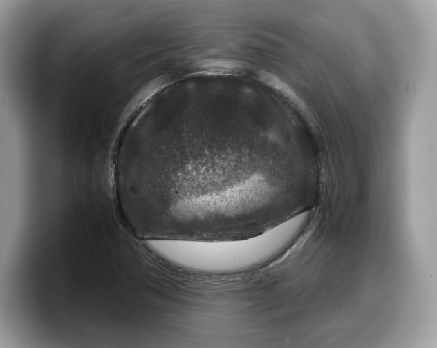 X0000099571362200805301532