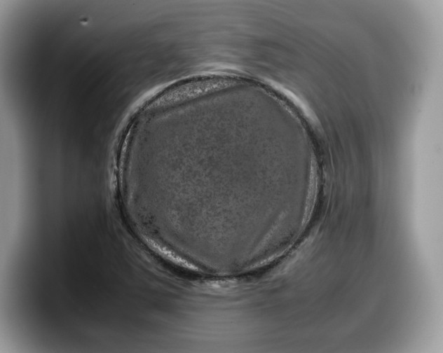 X0000099571363200805301532