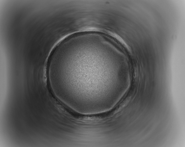 X0000099571364200805301532