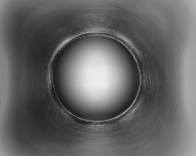 X0000099571366200805301532