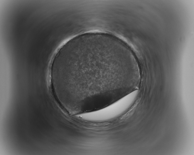 X0000099571367200805301532