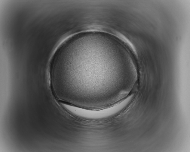 X0000099571368200805301532