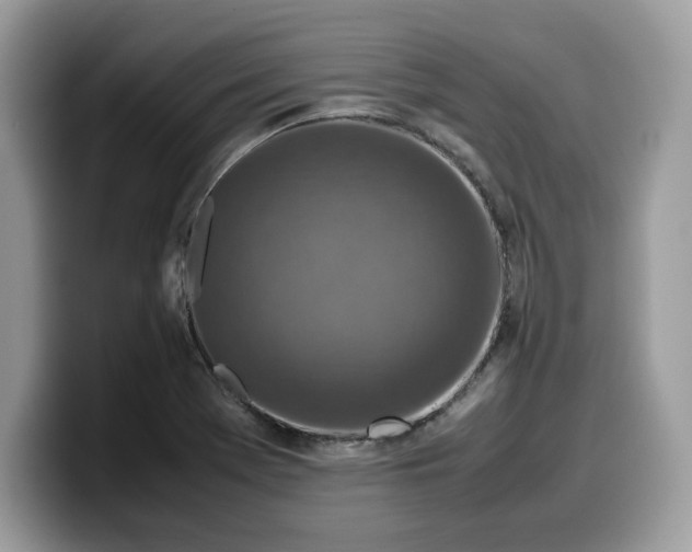 X0000099571369200805301532