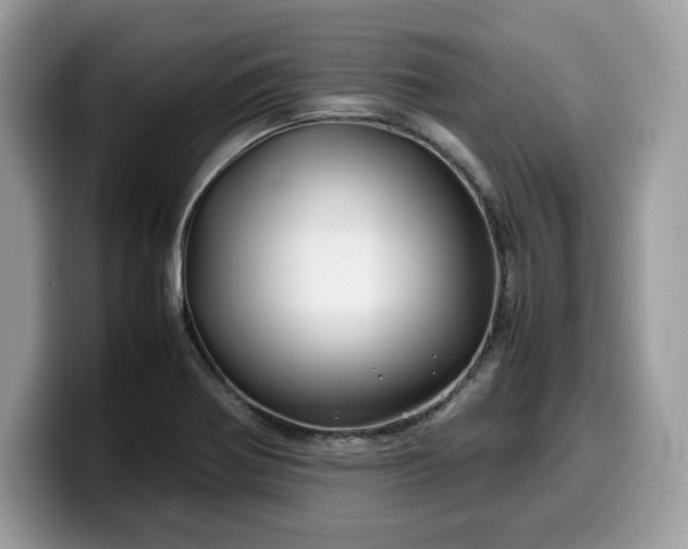 X0000099571370200805301532