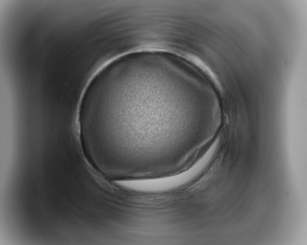 X0000099571372200805301532
