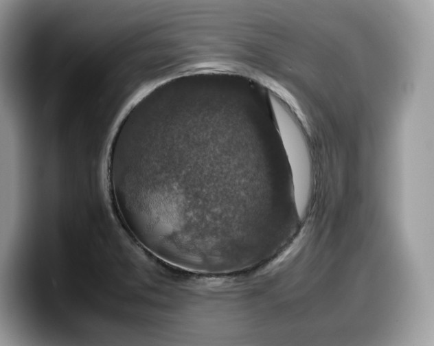 X0000099571373200805301532