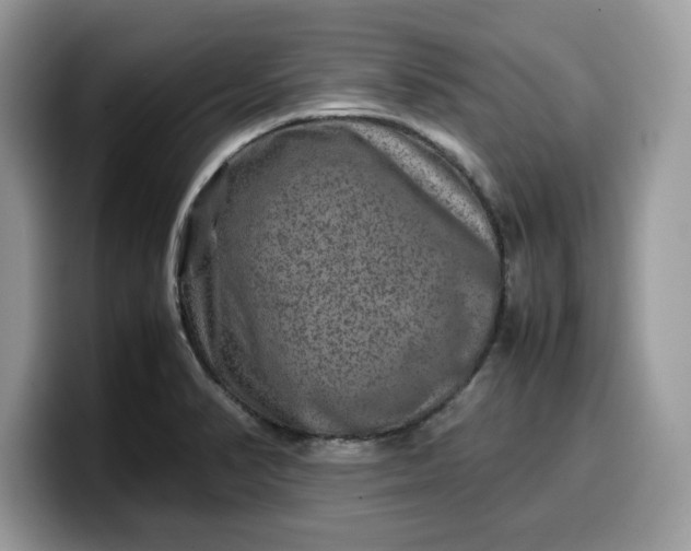 X0000099571374200805301532