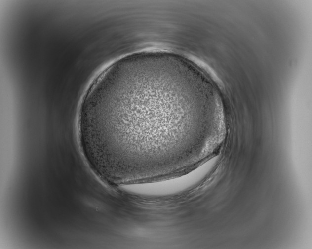 X0000099571375200805301532