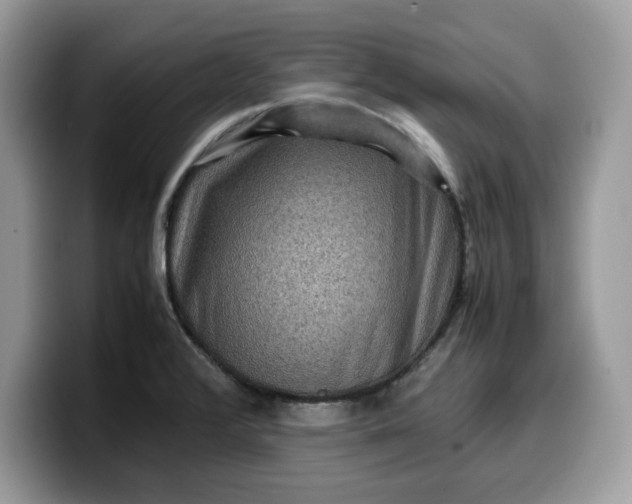 X0000099571376200805301532