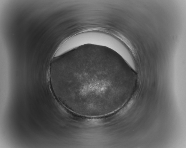 X0000099571377200805301532