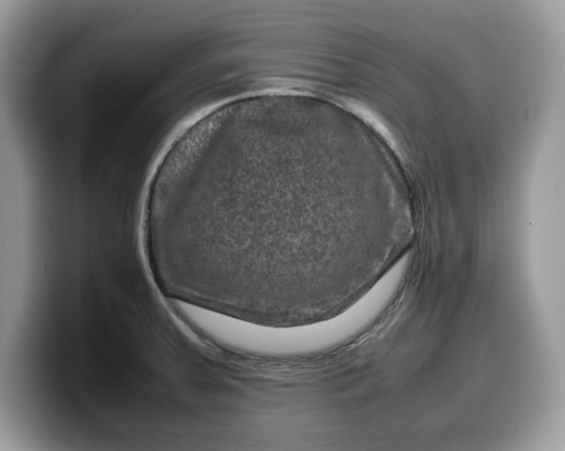 X0000099571379200805301532