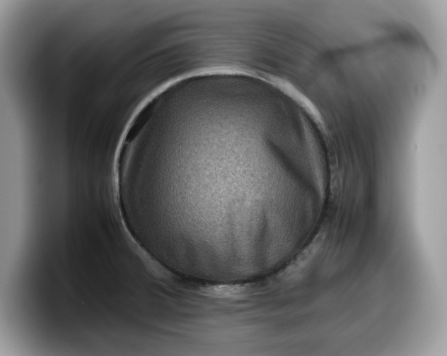 X0000099571380200805301532