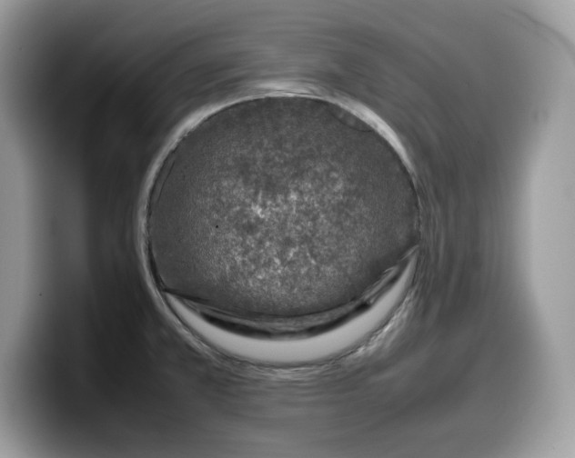 X0000099571381200805301532