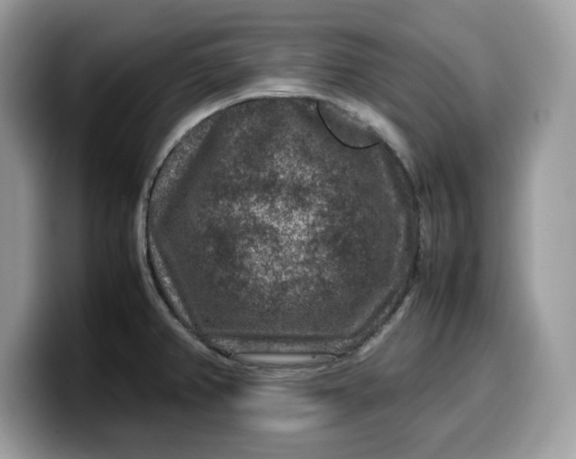 X0000099571382200805301532