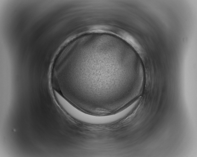X0000099571384200805301532