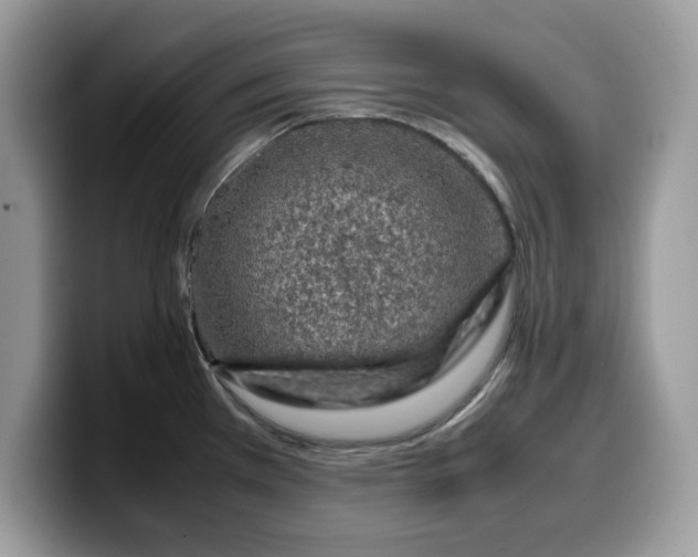 X0000099571385200805301532