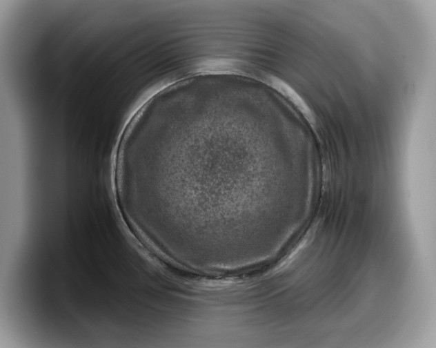 X0000099571386200805301532