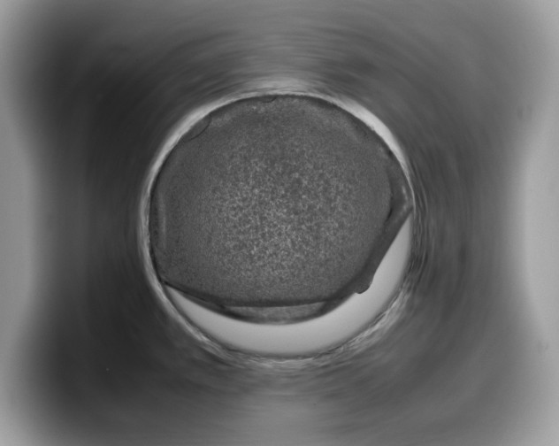X0000099571389200805301532