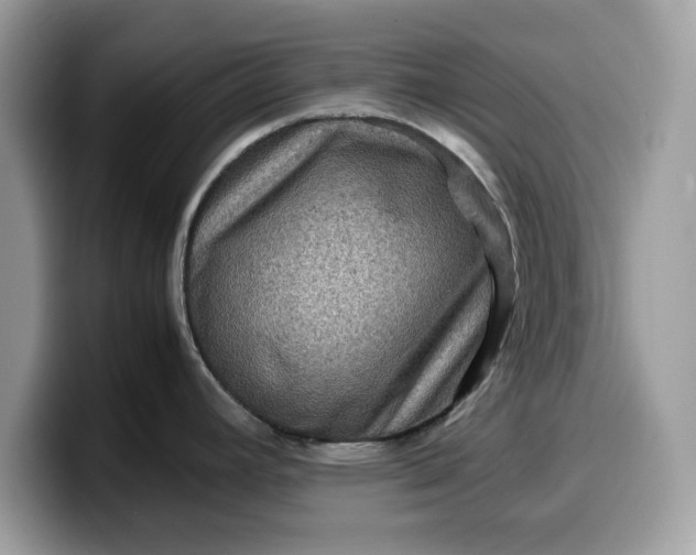X0000099571392200805301532