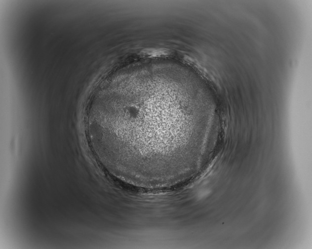 X0000099571393200805301531