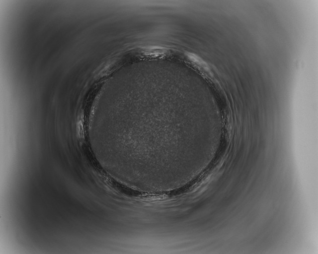 X0000099571394200805301531