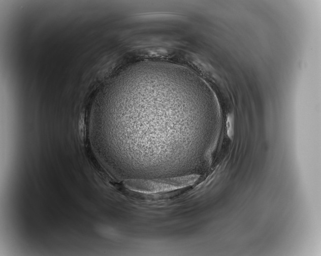 X0000099571395200805301531