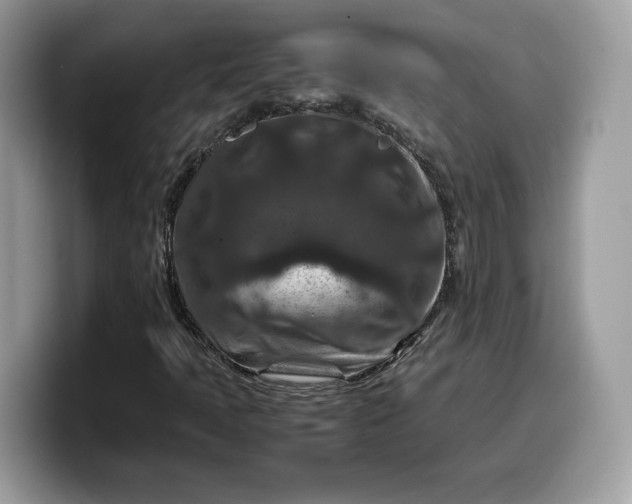 X0000099571397200805301531