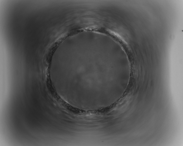 X0000099571399200805301531