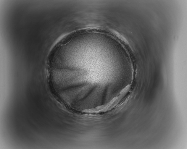 X0000099571400200805301531