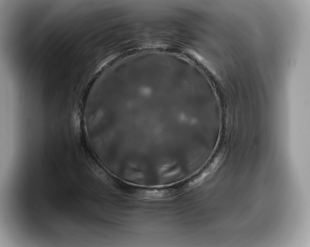 X0000099571401200805301531