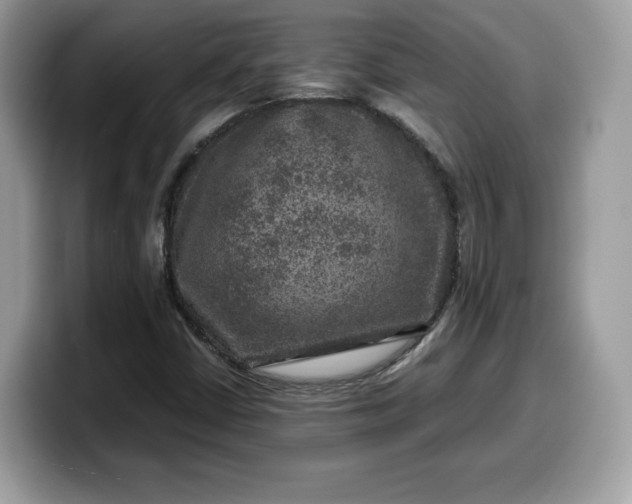 X0000099571402200805301531