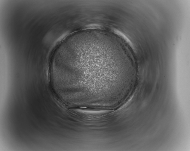 X0000099571403200805301531