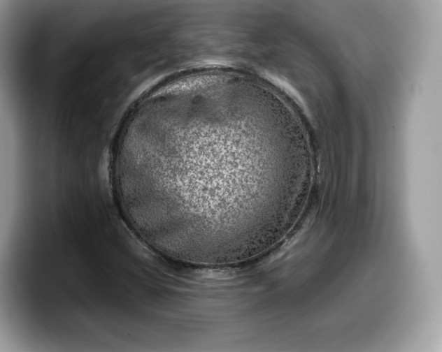 X0000099571404200805301531