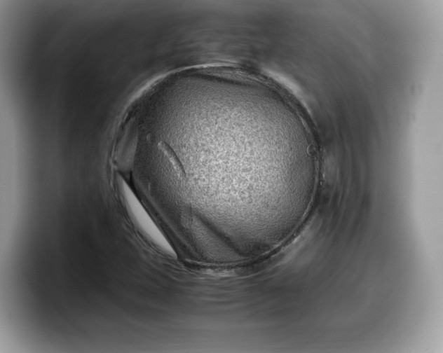 X0000099571407200805301531