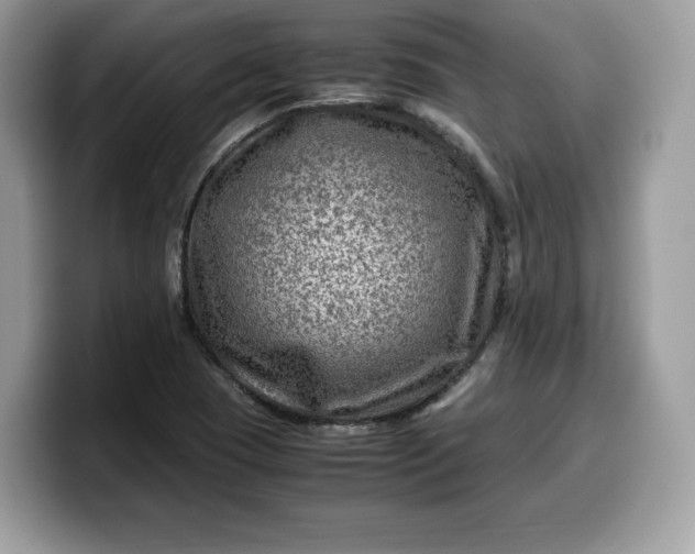 X0000099571409200805301531