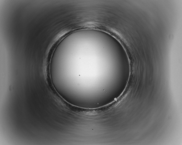 X0000099571410200805301531