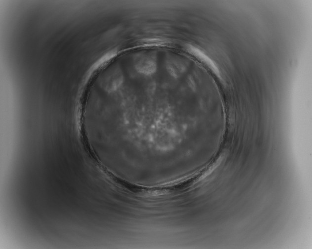X0000099571411200805301532