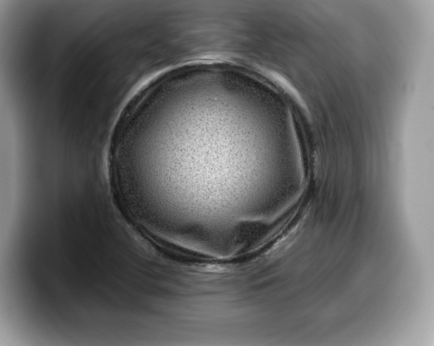 X0000099571412200805301532