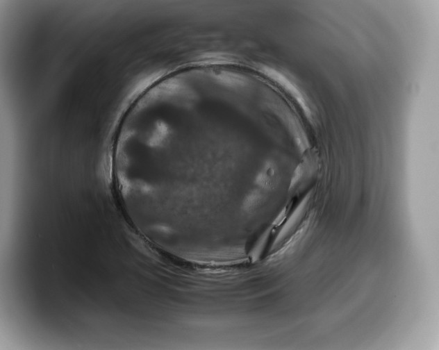 X0000099571413200805301532