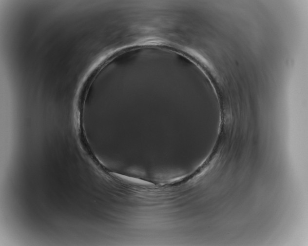 X0000099571414200805301532