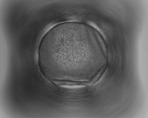 X0000099571415200805301532