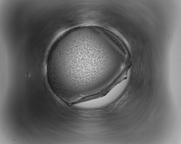 X0000099571416200805301532