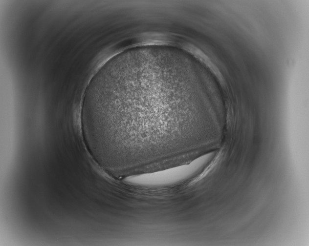 X0000099571417200805301532