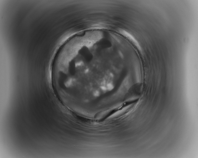 X0000099571419200805301532