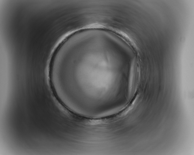 X0000099571422200805301532